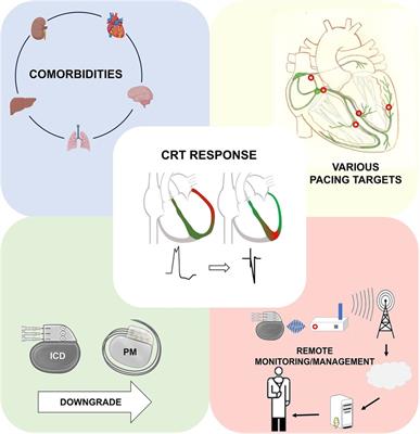 Editorial: Response to cardiac resynchronization therapy